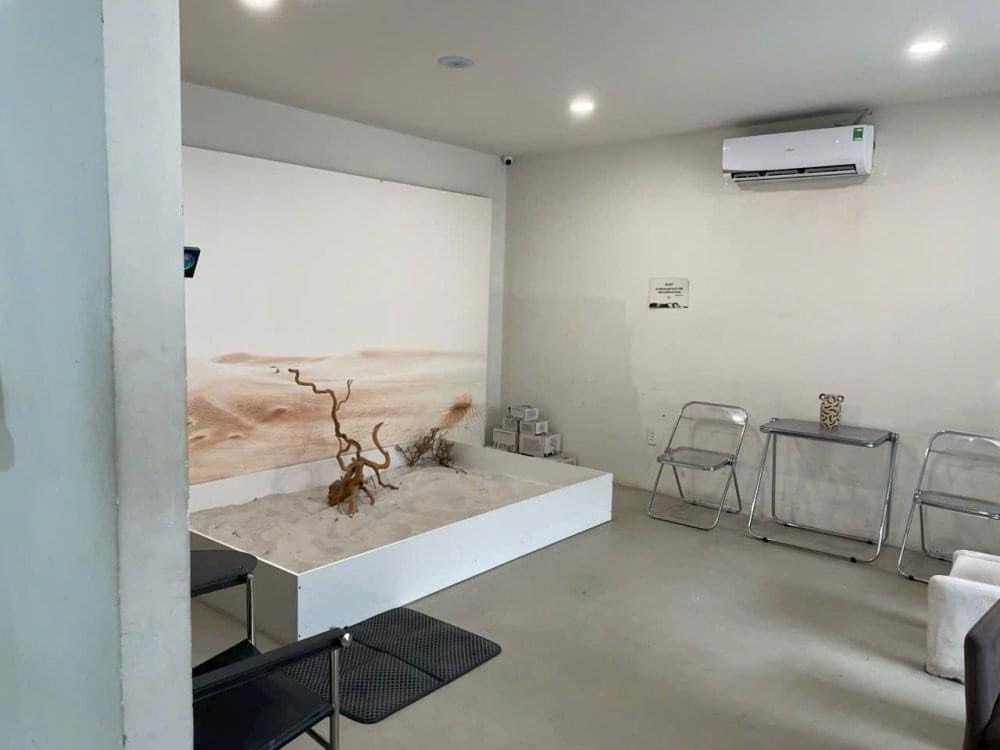 Cho thuê Villa  Nguyên căn mặt tiền Hồ Biểu Chánh, P.11,Quận Phú Nhuận. 